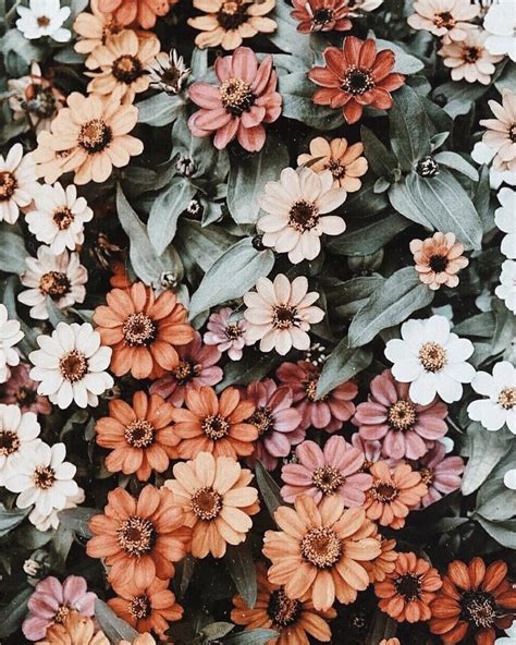 #floral #flower #floral wallpaper #floral art #iphone wallpaper #iphone lockscreen #lockscreen #beige #floral lockscreen want to see more posts tagged #floral wallpaper? Aesthetic Floral HD Wallpapers - Wallpaper Cave