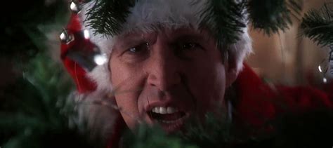 National lampoon's christmas vacation is a 1989 american family comedy film, the third installment in national lampoon magazine's vacation film series. VOTD: National Lampoon's Christmas Vacation Cast Reunion /Film