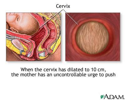 In the end your cervix will be dilated to around 10cm (or. The Saint Pete Student Midwife Blog: Ten Centimers Too Late