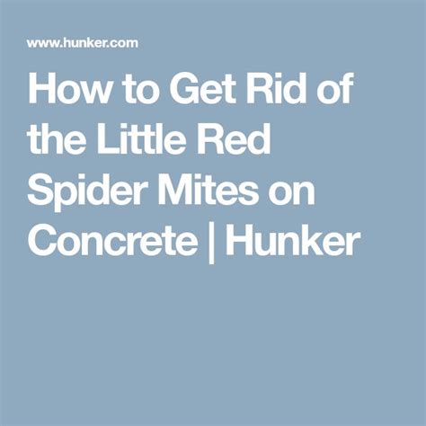 Covers the main three types of concrete joints as well as tips for placing joints on decorative concrete surfaces. How to Get Rid of the Little Red Spider Mites on Concrete ...