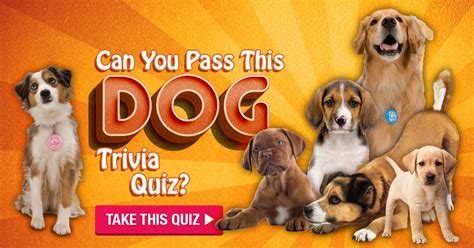 The cancer just won't go away, giving your dog very short partial remission periods. Can You Pass This Dog Trivia Quiz?