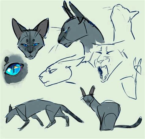 Warrior cats cat drawing painting & drawing animal drawings my drawings how to cat love i just downloaded paint tool sai and decided to try it out, i've heard many good things about sai and warrior cats element entry by mmoollyy10 on deviantart. Pin by IHAVECATADDICTION1 on Learning how to draw a cat in ...