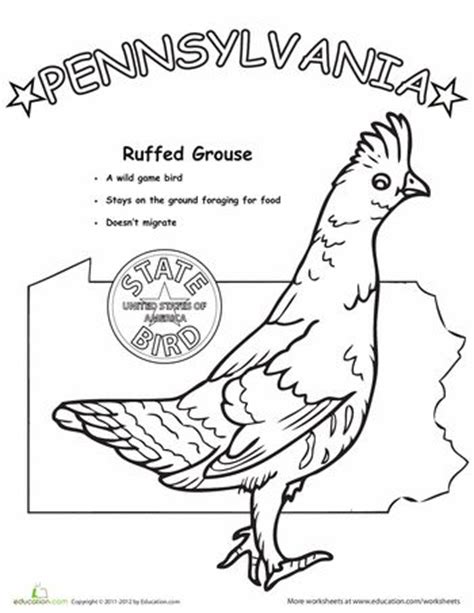 Your safety is important to us. 157 best State Birds images on Pinterest | Coloring pages ...