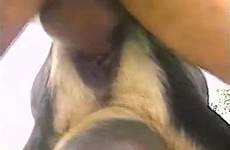 horny fuckers zoo videos goats