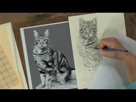 Maybe you would like to learn more about one of these? Keys to Drawing Realistic Animals with Claudia Nice - YouTube