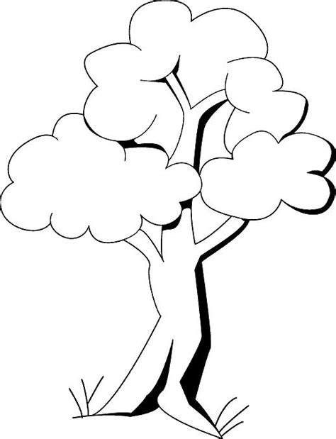 Grâce à nos centaines de modèles personnalisables, il vous offrir un arbre généalogique à votre famille n'a jamais été aussi simple. 15 coloriages arbre à imprimer sur Coloriage à Colorier