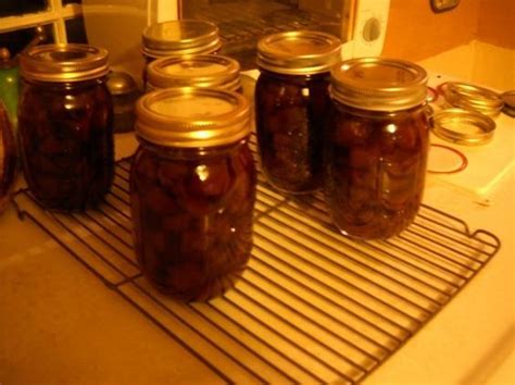 Check the length of your growing cucumbers. Ripe Cucumber Tongue Pickles | Pickling recipes, Pickles ...