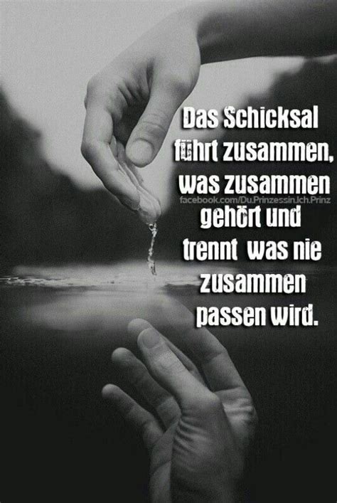 Freundschaft zitate und sprüche zitate. Es kommt, wie es kommen soll. Schicksal ist Vorsehung ...