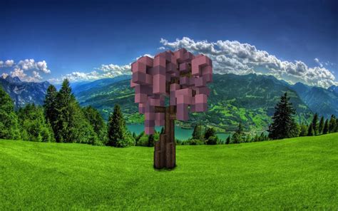 This package brings cherry blossom canopies and will color every forest with some beautiful pink canopy. Cherry Tree | By Ygel | Schematic Minecraft Project