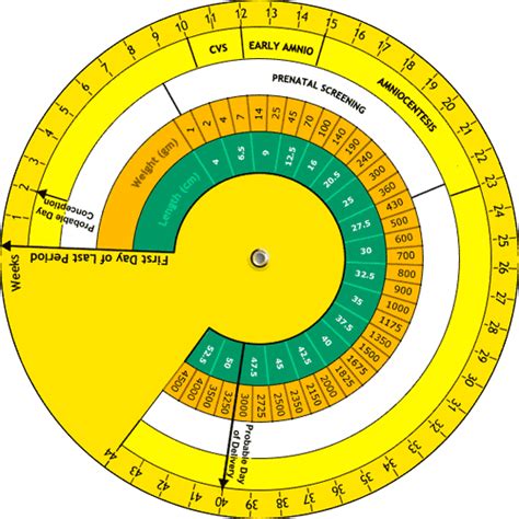 An estimated due date can be calculated by following steps 1 through 3: Pin on baby stuff