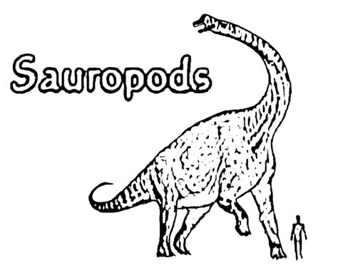 Tapping, scratching, page turning, colored pencil sounds, marker sounds, whispers, story telling, and much more! Long Neck Dinosaur Coloring Page - Coloring Home