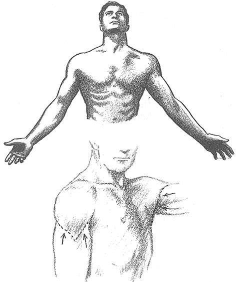 Body drawing anatomy drawing figure drawing drawing muscles how to draw muscles drawing lips body anatomy human anatomy anatomy male. How to Draw the Human Torso and Chest - Body Figure ...