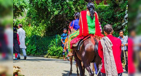 While serving as a coronavirus quarantine centre since march, the shri mata vaishno devi shrine's aashirwad bhawan is providing 'sehri' and 'iftari' to about 500 muslims isolated amid ramadan. Recording-breaking number of pilgrims visit Vaishno Devi ...