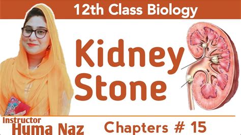 Register for free to view full report. Kidney Problems and Cures in Urdu Hindi - Chapter # 15 ...