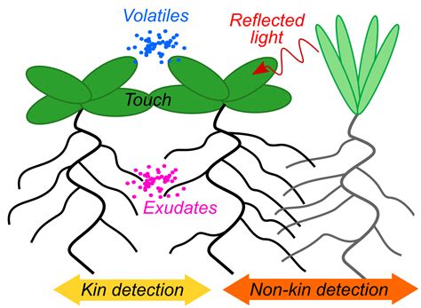 Of specific interest are mechanisms and signal transduction pathways by which plants adapt to extreme environmental conditions such as high and low temperatures, drought. Plant, Cell & Environment - Wiley Online Library