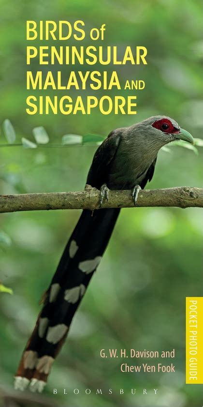You can generally choose tropical rainforest, coastal, island, montane and wetland locations to spot the different species of birds in malaysia. Birds of Peninsular Malaysia and Singapore by Geoffrey WH ...