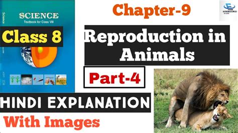 Histones octamer is an 8 protein complex found at the center of nucleosome core particles. Class 8th Science NCERT || Ch 9 : Reproduction In Animals ...