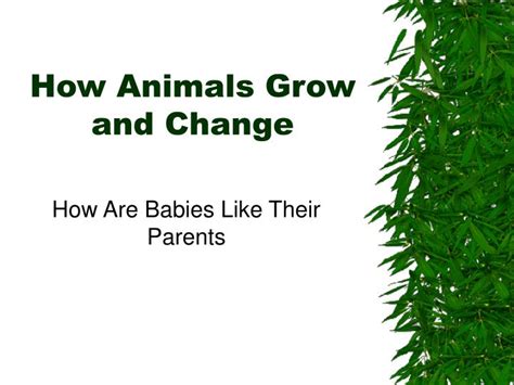 This one is perfect for the growing toddler. PPT - How Animals Grow and Change PowerPoint Presentation ...