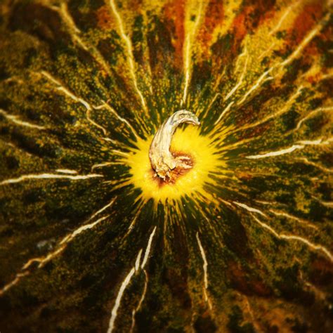 Que tal son sus cámaras? "Al melón le preguntaríamos: ‹‹¿Eres bueno o malo?›› Pero ...