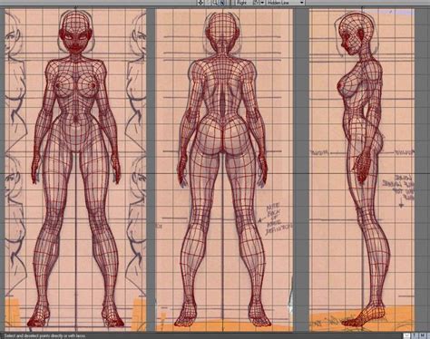 Your satisfaction is important to us. female body reference sheet - Google Search | Topology ...
