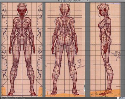 8 photos of the female body back side anatomy. female body reference sheet - Google Search | Topology ...