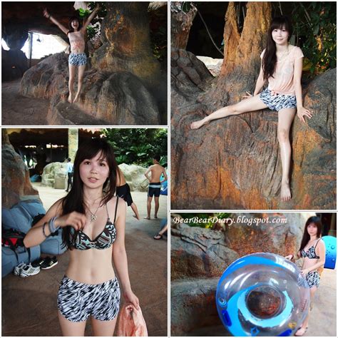 Adventure cove waterpark, located in the heart of singapore, sentosa island, is one of the most this place covers an area of more than 20 acres, with multiple water rides, sea trekking, shark diving. Bear Bear Diary*★*·.¸¸.¤♥: Sentosa Adventure Cove ...