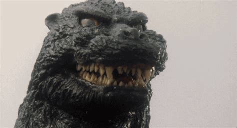 Godzilla vs king kong old godzilla gifs, reaction gifs, cat gifs, and so much more. gameraboy: Godzilla vs. Mothra (1992) | Godzilla, Godzilla vs, Anime monsters