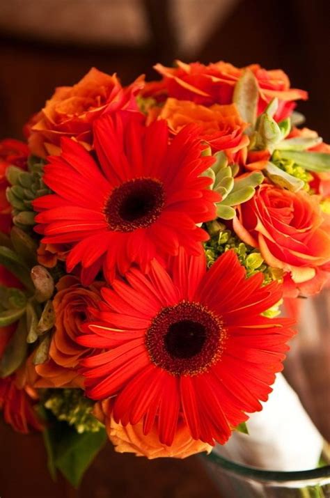 Even if you're not looking for your traditional bouquets, we also carry plants, orchids, lilies. Gettin' married - woohoo!! | Gerber daisy bouquet, Daisy ...