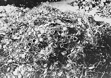 The first people to be brought to auschwitz (i + ii) as prisoners and murdered here were poles. KZ Auschwitz - Wikipedia