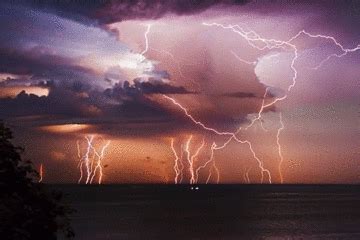 Browse latest funny, amazing,cool, lol, cute,reaction gifs and animated pictures! 15 cool facts about lightning: Weather you'd like to know ...