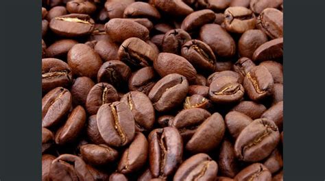 ¿que debes entender de lo anterior?, que estas. Las exportaciones de café en Brasil caen un 9,1 % en ...