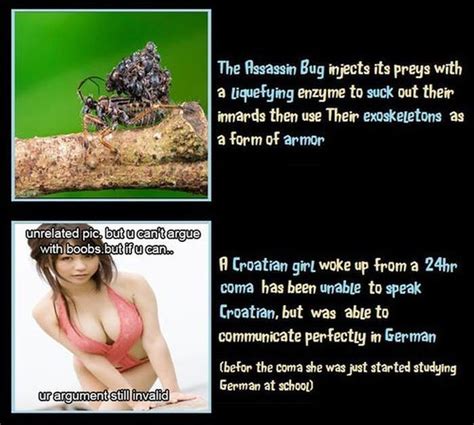 We've gathered in this list the best of the most weird interesting facts to blow your mind, from historical to scientific unbelievable true facts. Unbelievable But True Facts. Part 7 (9 pics)