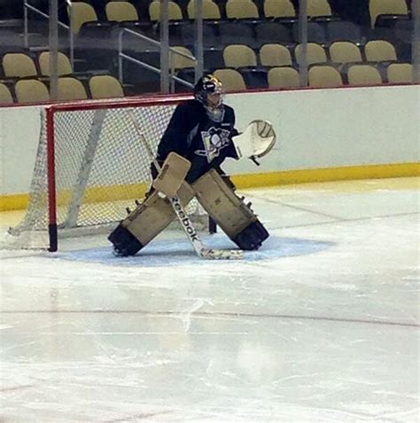 What is the difference bbetween pro ice hockey goalie leg pads and senior ice hockey goalie leg pads? Marc-Andre Fleury's Stadium Series pads : hockey