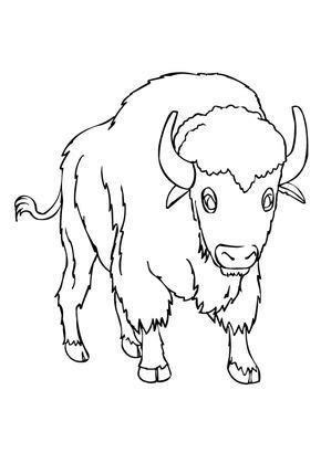 African buffalo (cape buffalo) coloring page from cape buffalo category. African Buffalo Coloring Pages For Kids - Tripafethna