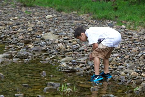 Последние твиты от water (@ow_water). Free picture: teen, boy, looks, macroinvertebrates, water