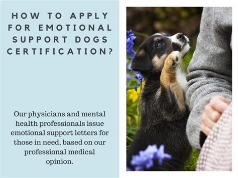 I acknowledge that my completion of this form is to voluntarily register my service dog into united service dog's registry. How To Apply For Emotional Support Dogs Certification? in ...