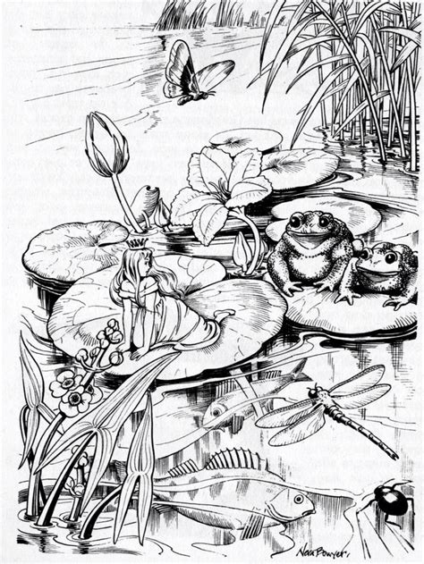 There are two cute frogs resting on lily pads in this printable animal coloring page for children. Pin on Coloring!