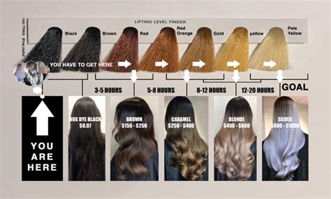 What nobody tells you about dying your hair blonde: This Diagram Will Help You Price & Time Black To Blonde ...