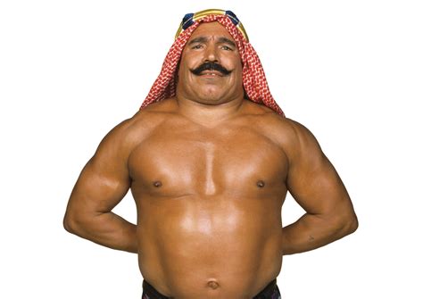 Became the champion by way of being the first man to escape the camel clutch (the iron sheik's finishing move).47. The Iron Sheik | WWE