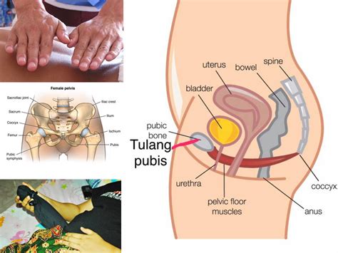 Sakit tu tak terasa masa dia keluar. Penjelasan Doktor Kenapa Rahim Wanita Tak Payah Diurut ...