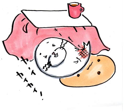 干物女の家計簿。 2008年03月