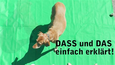 Das mit einem s hat 3 funktionen in einem satz: DASS oder DAS? Unserem Hund egal - YouTube