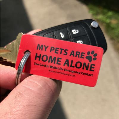 We did not find results for: Emergency Pet Keyring Tag | Cheap pet insurance, Pet care, Pets