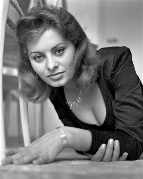 Sofia villani scicolone dame grand cross omri (italian: Film Noir Photos: The Eyes Have It: Sophia Loren