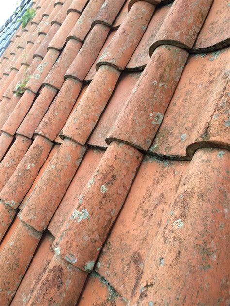 For this reason, any terra cotta roof tile related services should be handled only by professionals. Ghim trên Roof tiles terracotta