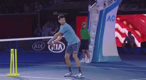 Your post should be an animated gif or a gfycat post. New party member! Tags: fail tennis nope strike novak ...