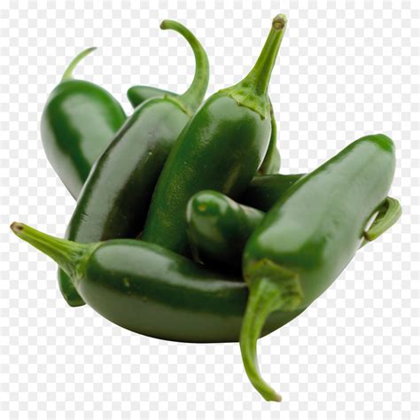 Please to search on seekpng.com. Pimienta De Chile, Chile Instituto, Capsicum imagen png ...