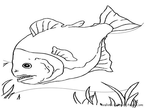 Search through 623,989 free printable colorings at getcolorings. Fish Realistic Coloring Pages | Realistic Coloring Pages