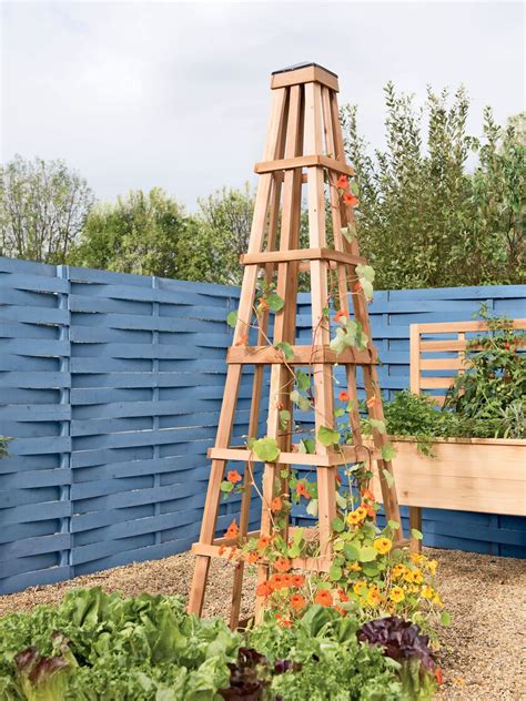 Find high quality garden obelisk suppliers on alibaba. Pin on Bennett Point