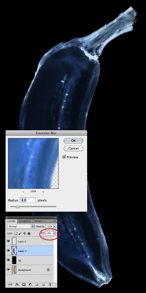 Photoshop isn't magic but it has come a long way since since version 6.01. Quick Tip: How to Simulate X-Ray Photography in Photoshop